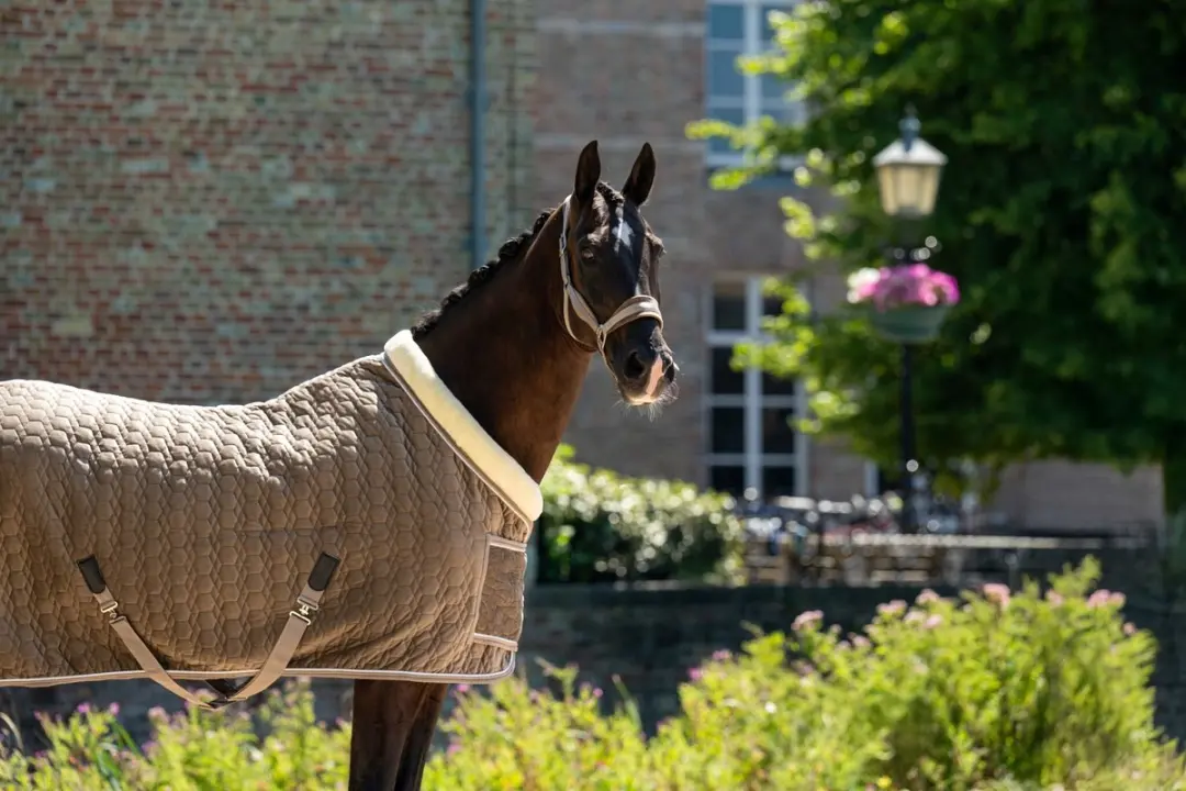Showtime Showdeken Velvet Taupe