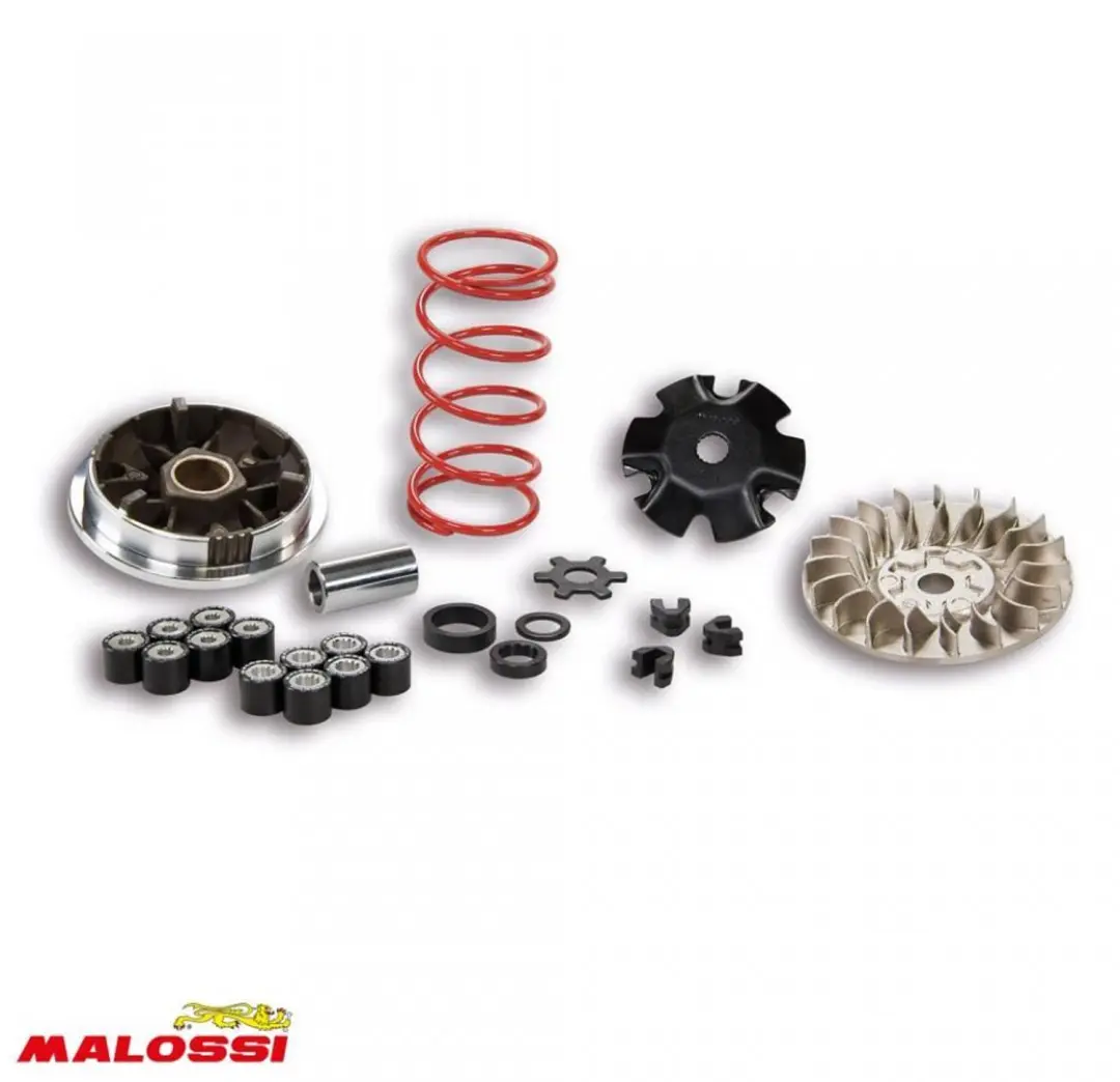 Variateur Malossi pour Scooter Yamaha 50 Zest Neuf