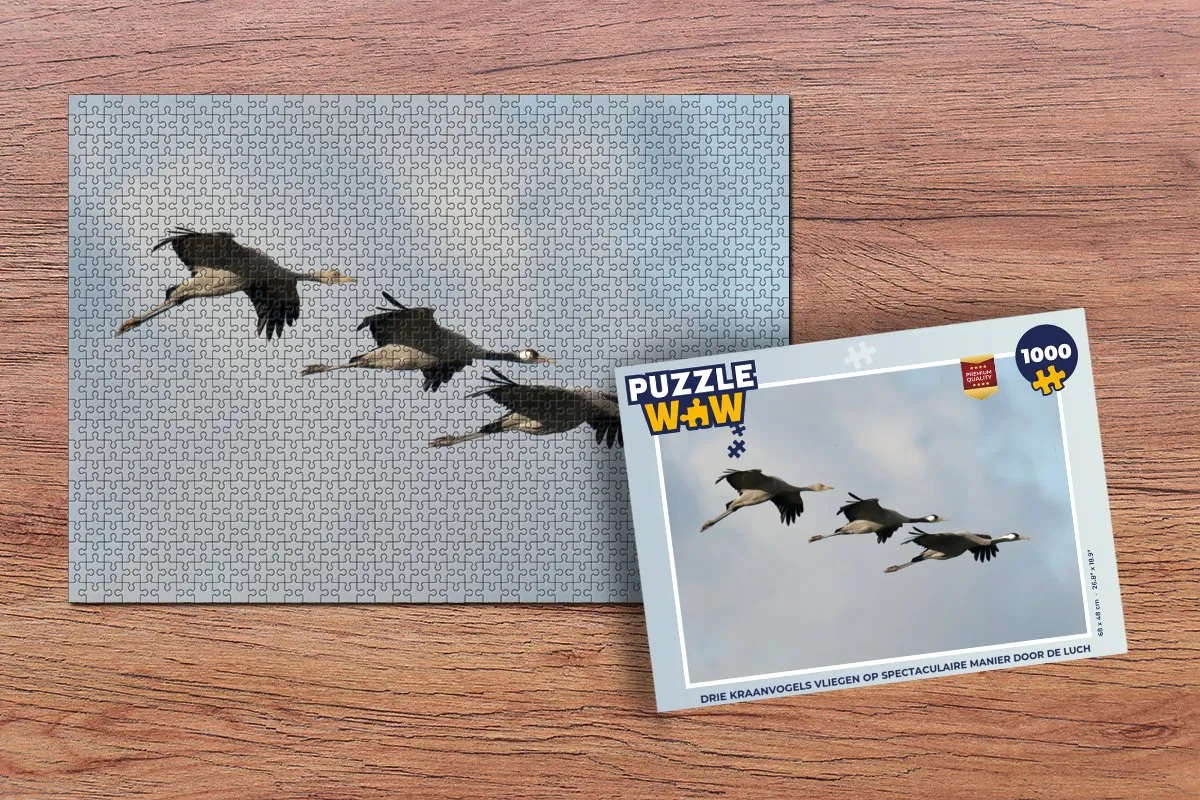 PuzzleWow Legpuzzel Drie Kraanvogels 1000 Stuks - Multicolor