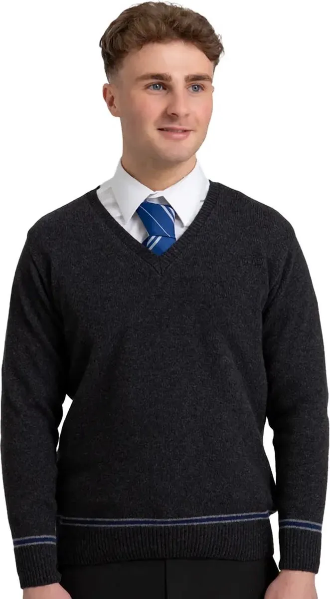 Harry Potter Lochaven Ravenclaw V-Neck Sweater - XXS - Multicolor