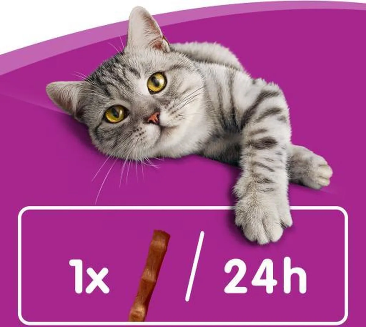 Whiskas Sticks Kip Kattensnack 40g - 3 Stuks