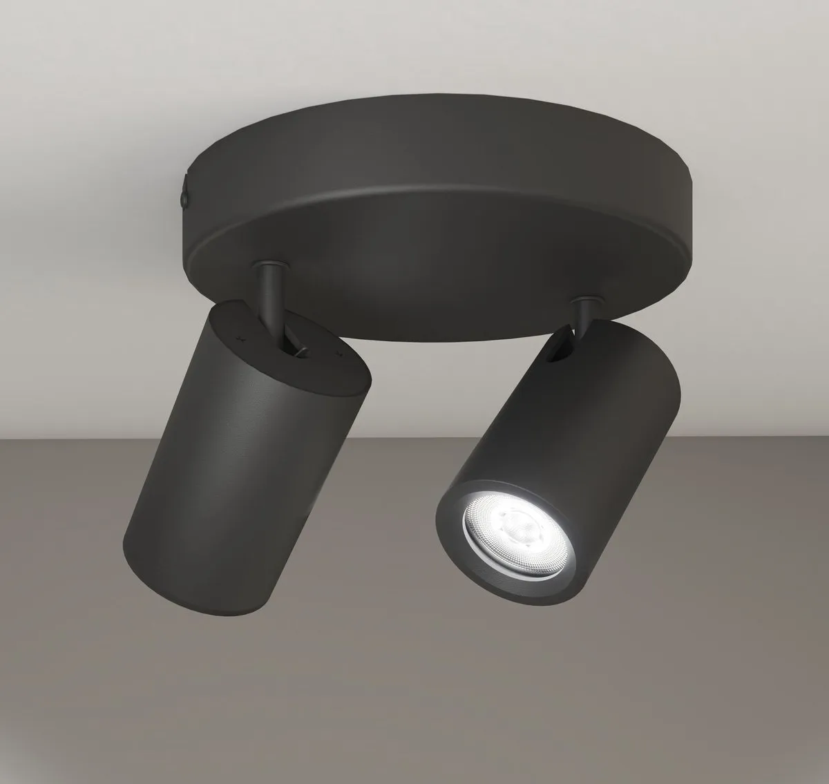 LEDVION Plafondspot 2-lichts Zwart - 5W 6500K GU10