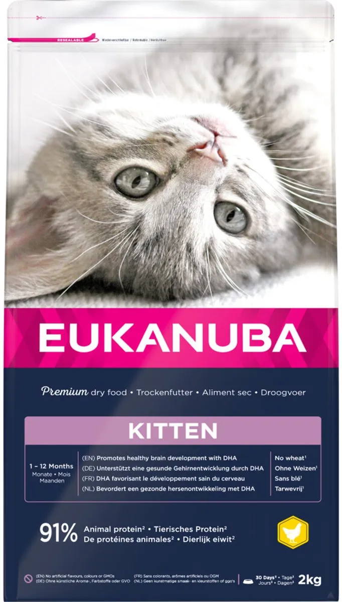 Eukanuba Kat Kitten Junior Kip - 2 kg