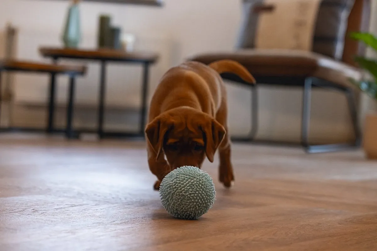Beeztees Puppy Bal Lily Hondenspeelgoed - Blauw Ø10cm