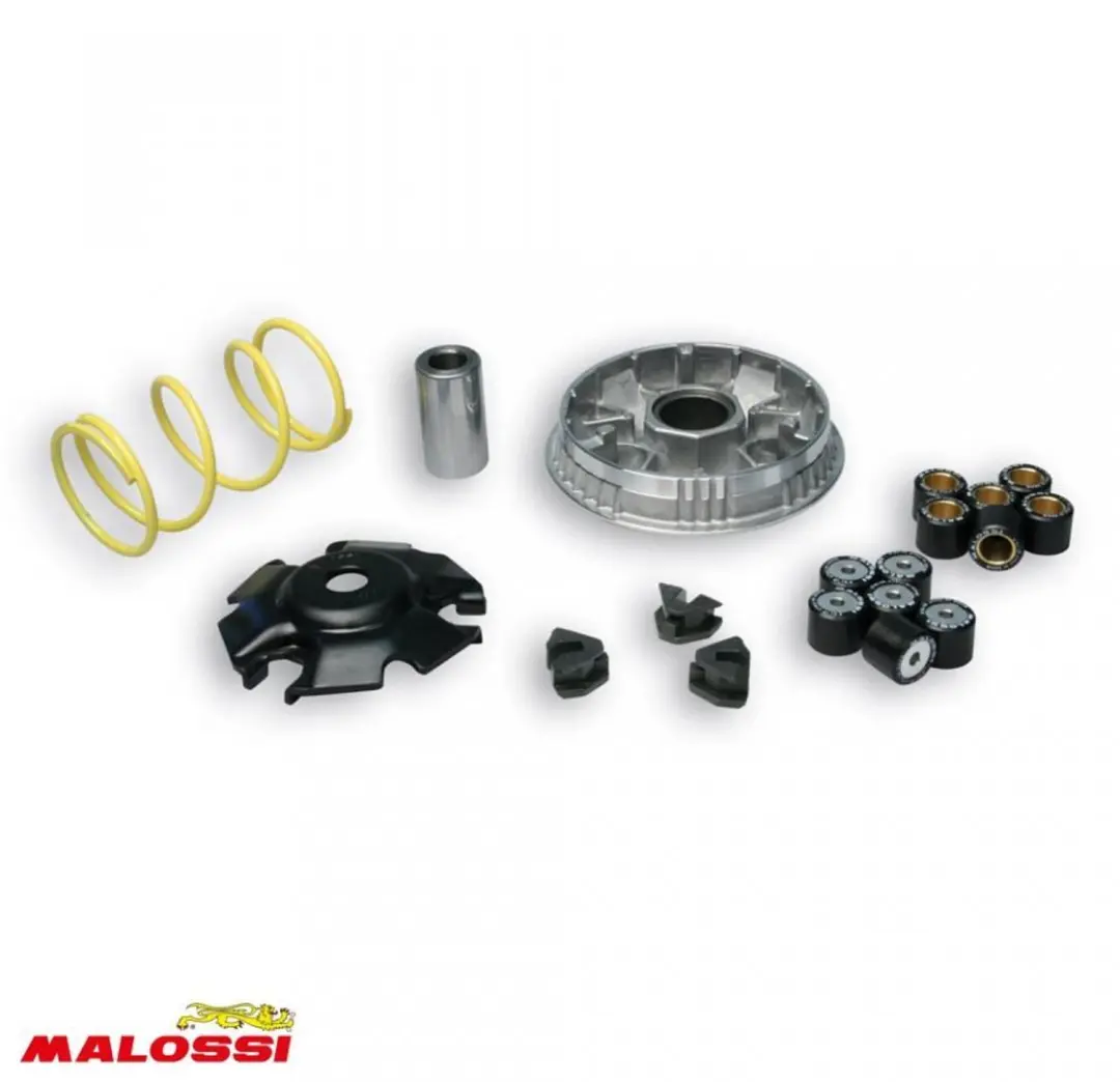 Variateur Malossi pour Scooter Honda 125 SH I Neuf
