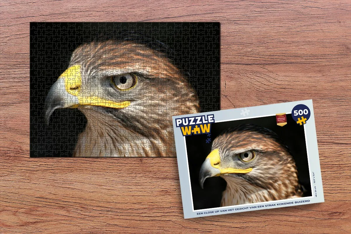 PuzzleWow Legpuzzel Buizerd - 500 Stuks - Multicolor
