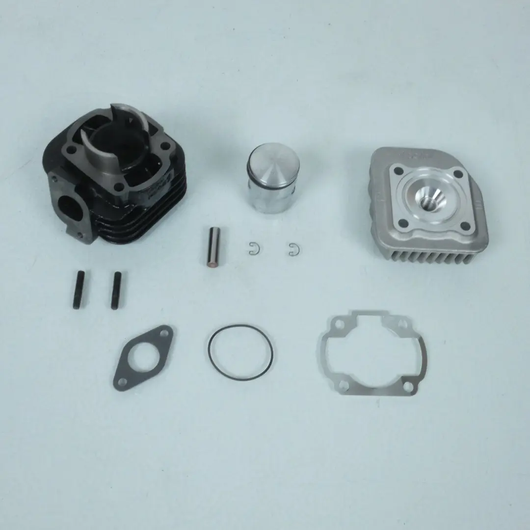 Haut moteur Polini pour Scooter PGO 50 PMX SPORT Neuf