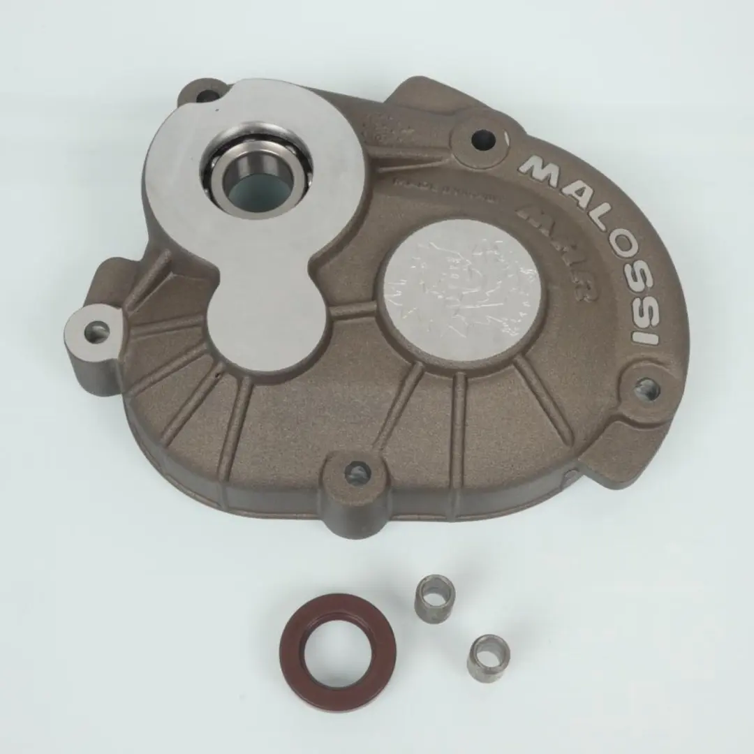 Carter de transmission Malossi pour Scooter Piaggio 50 Zip SP Neuf