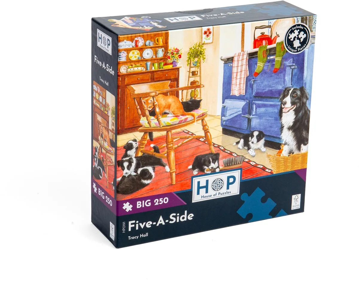 House of Puzzles Five-a-Side XXL Legpuzzel 250 Stuks - Multicolor