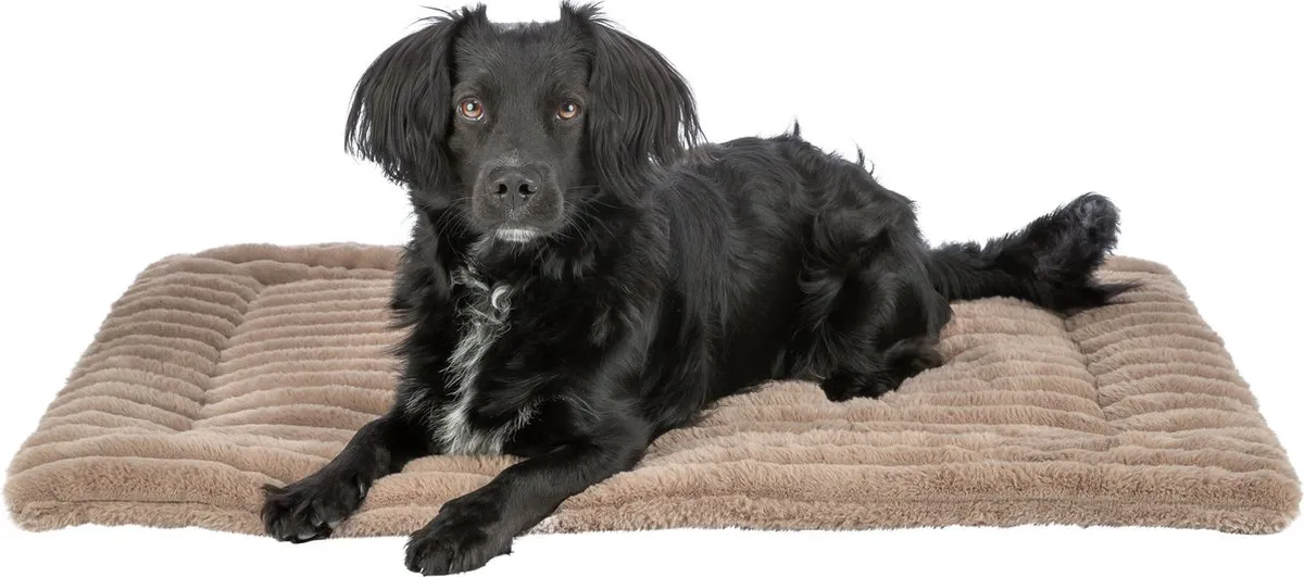 Trixie Ligmat Lonni Ribfluweel Lichtbruin 90x65cm
