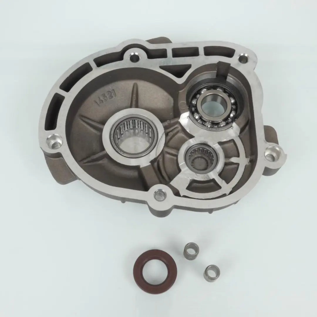Carter de transmission Malossi pour Scooter Piaggio 50 NRG Neuf