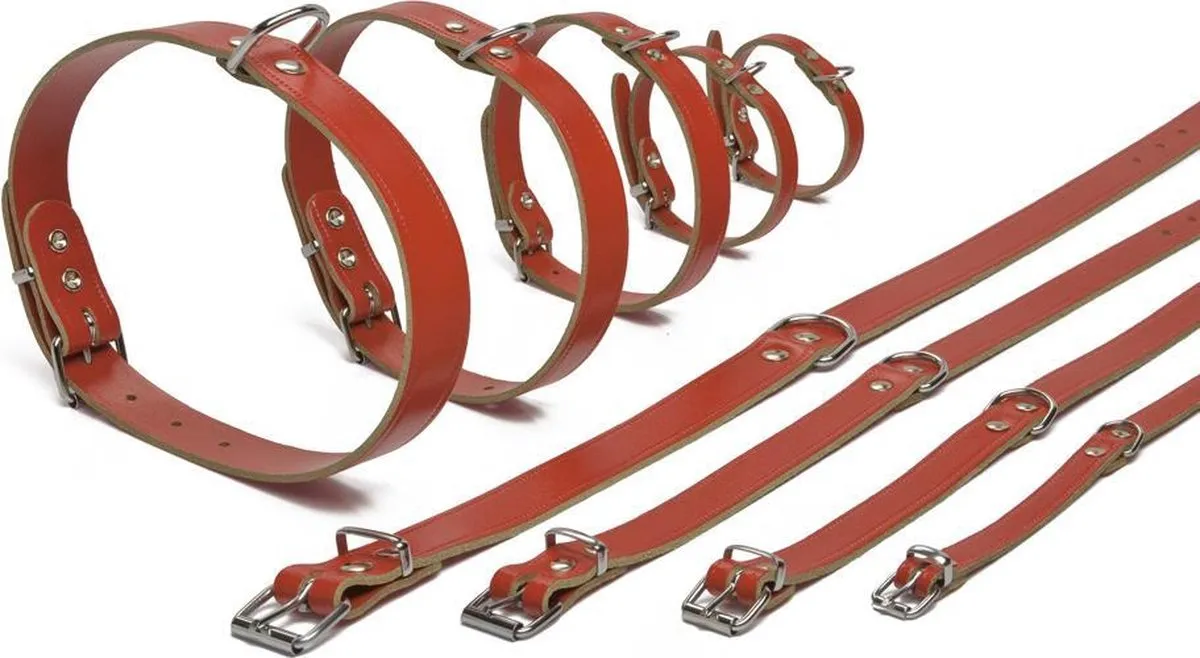 Beeztees Halsband