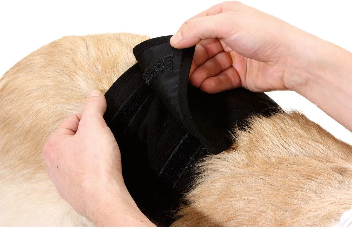 Flamingo Gentleman Wraps Incontinentieband Zwart XL - afbeelding 2 van 6