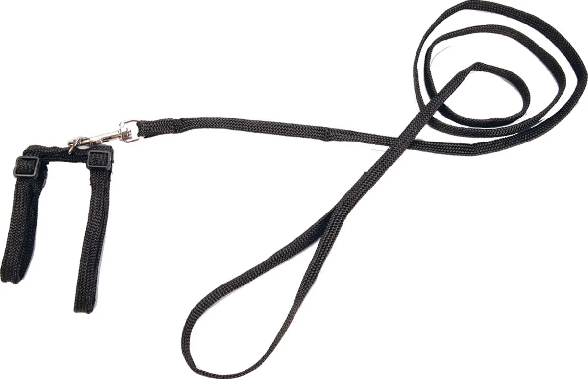 Beeztees Kattentuigje Nylon Rood 130cm x 10mm