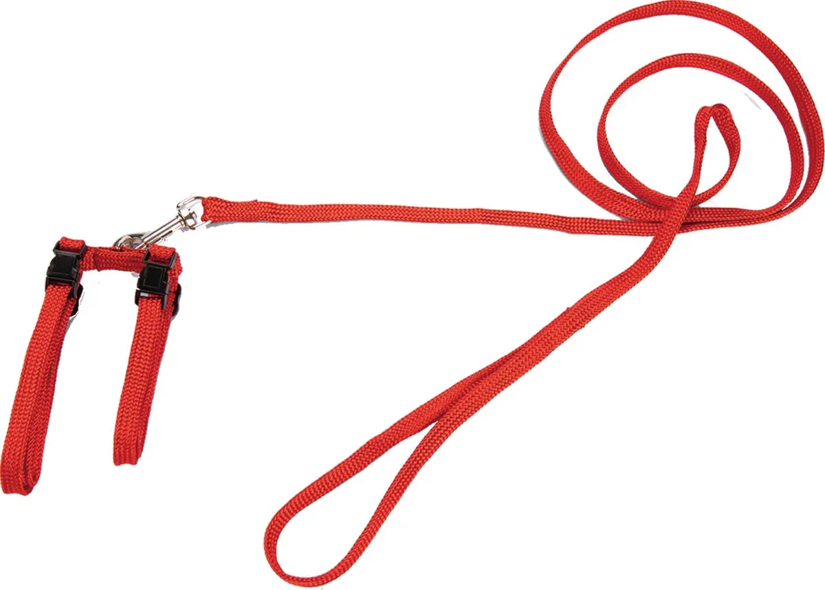 Beeztees Kattentuigje Nylon Rood 130cm x 10mm