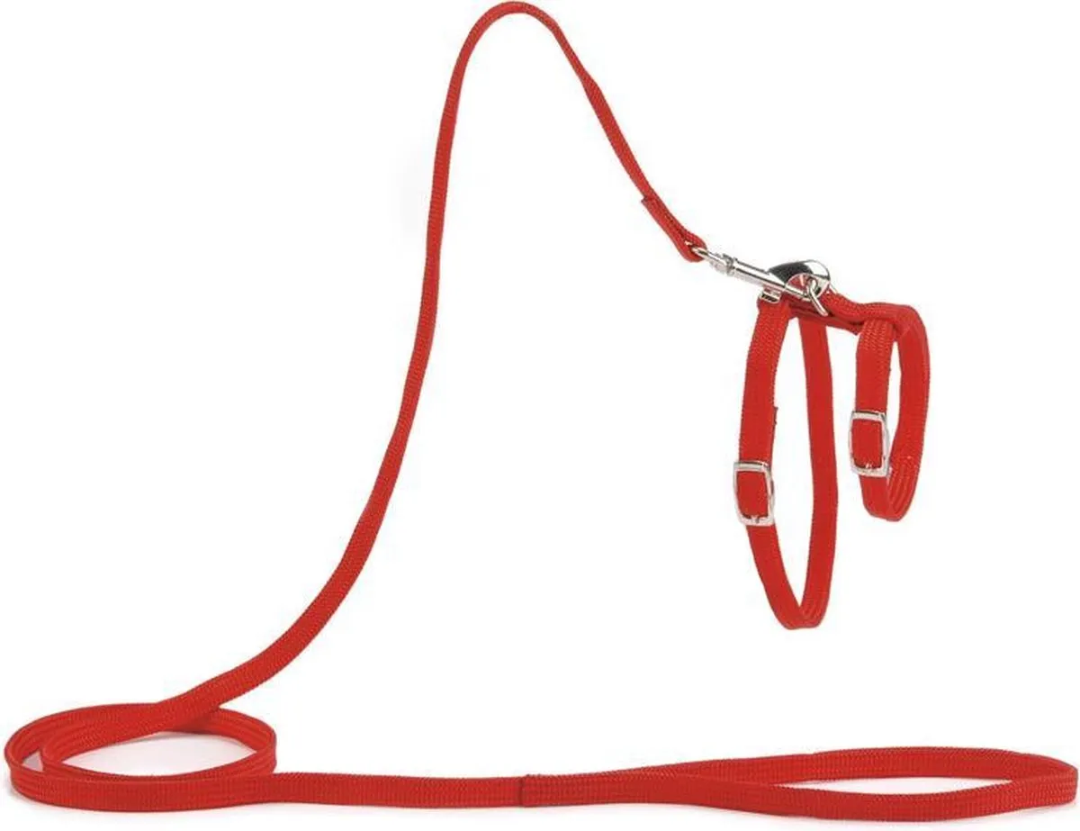 Beeztees Kattentuigje Nylon Rood 130cm x 10mm