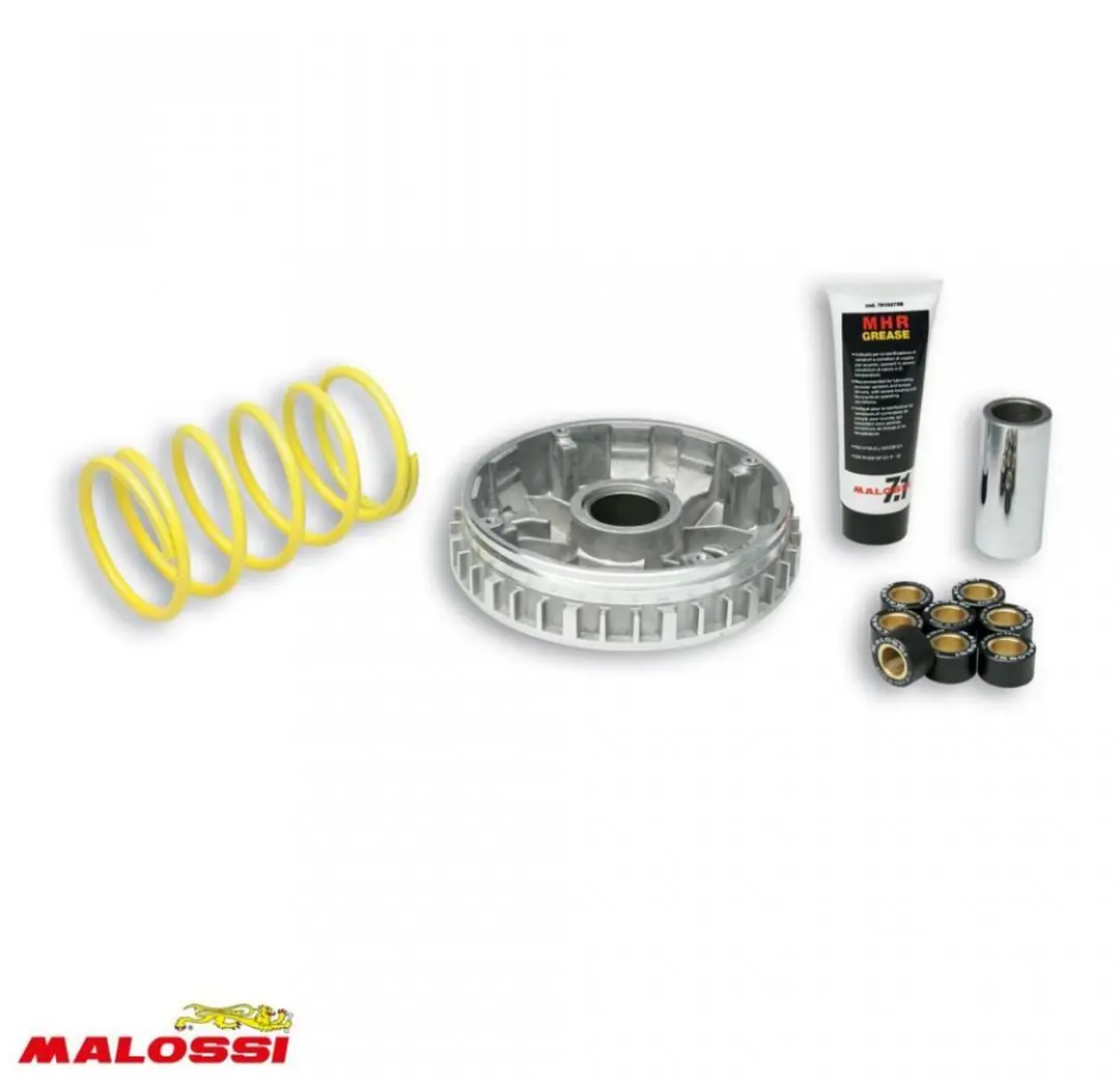 Variateur Malossi pour Scooter Yamaha 250 Ypr X-Max 2005 à 2016 Neuf