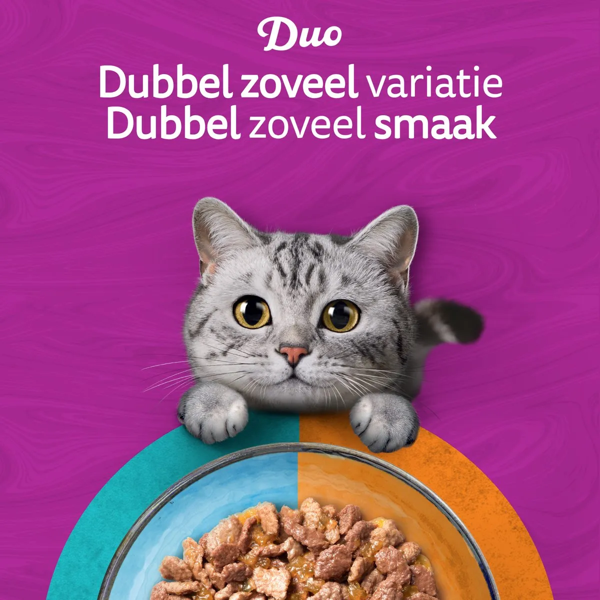 Whiskas Adult Duo Surf & Turf Selectie in Gelei - 40x85g - afbeelding 6 van 6