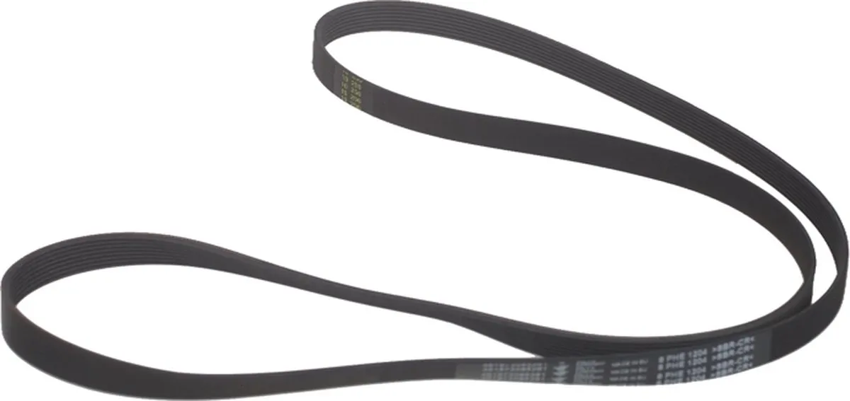 Whirlpool Poly-V snaar 1204 H8