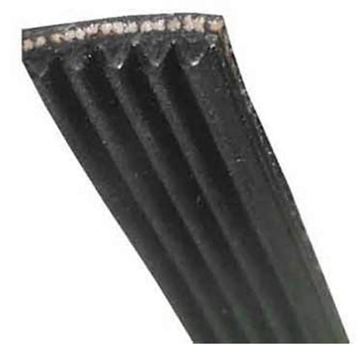 Electrolux Courroie 140002231011 Aandrijfriem - Zwart