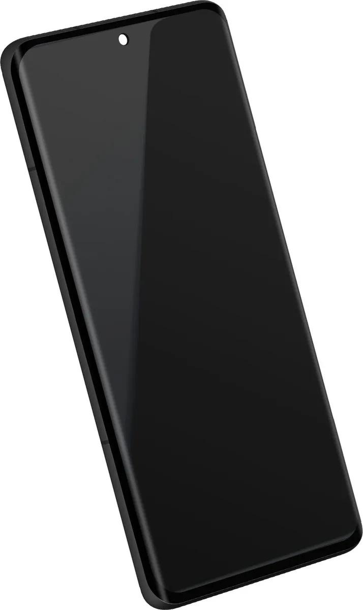 Xiaomi 12 Pro Scherm 56000300L200 - Grijs