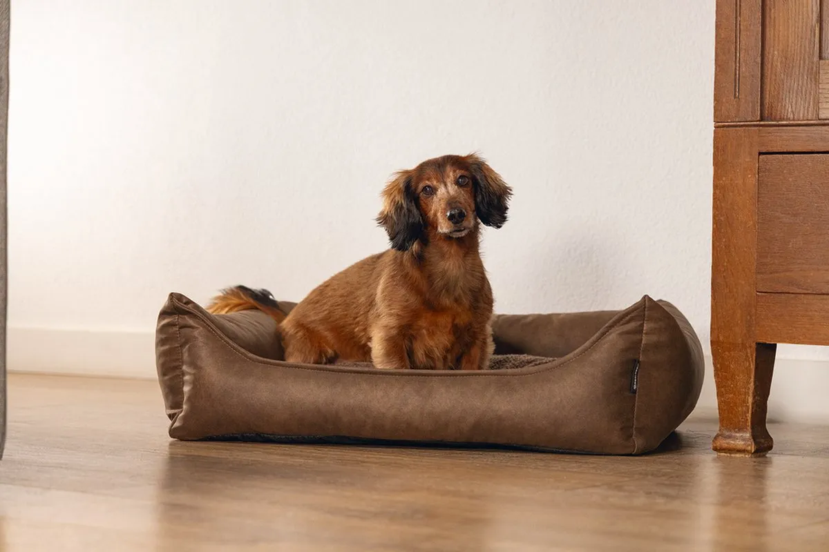 Beeztees Uma Orthopedische Hondenmand M - 80x60x22cm