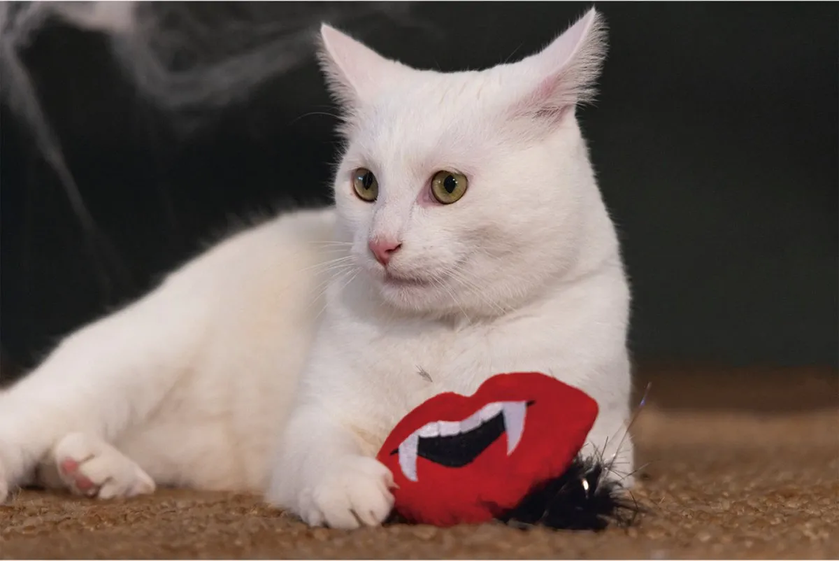 Beeztees Dracula Kattenspeeltje - 10x15x3cm - Zwart/Rood