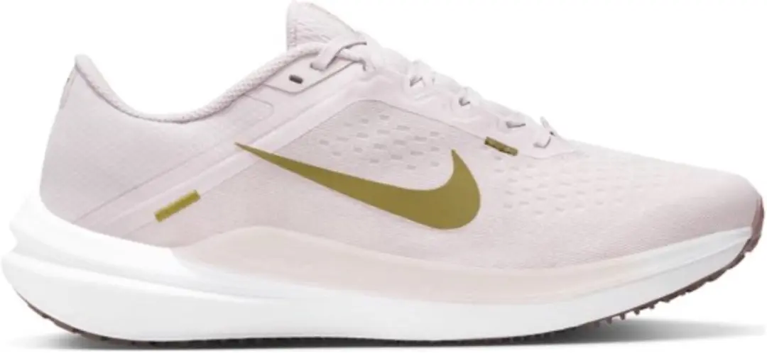 Nike Air Winflo 10