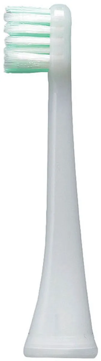 Panasonic EW0911 Opzetborstels - 2 Stuks - Zwart
