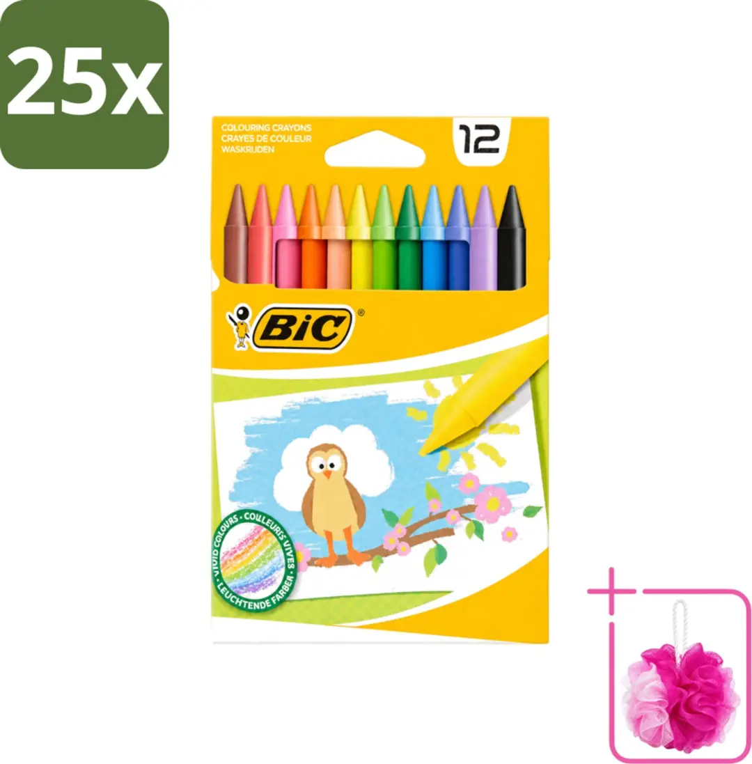 25 x BIC