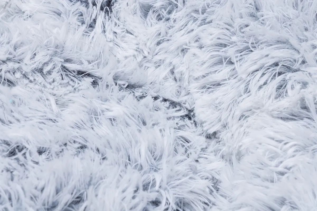 Beeztees Siba - Orthopedische Hondenmand - Pluche - Grijs - 70x70x25 cm