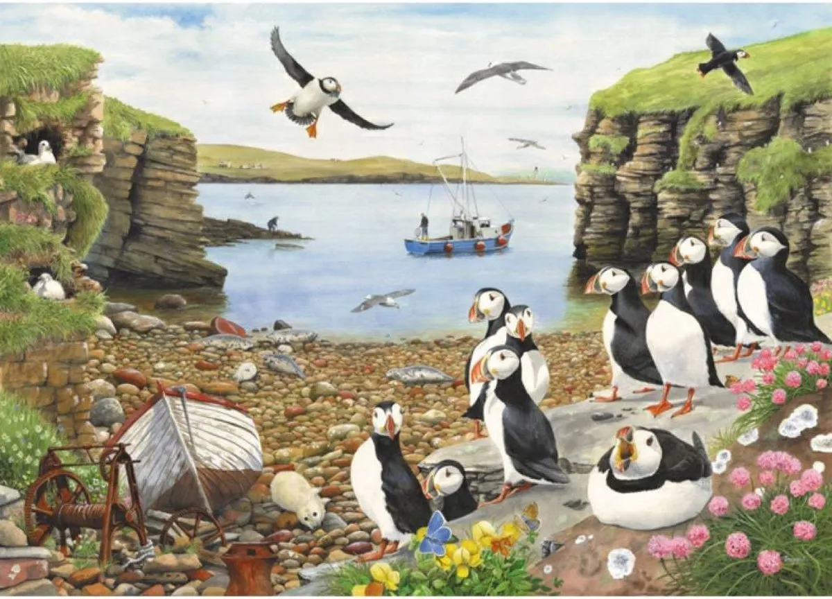 House Of Puzzles Puffin Parade Puzzel 500 Stuks