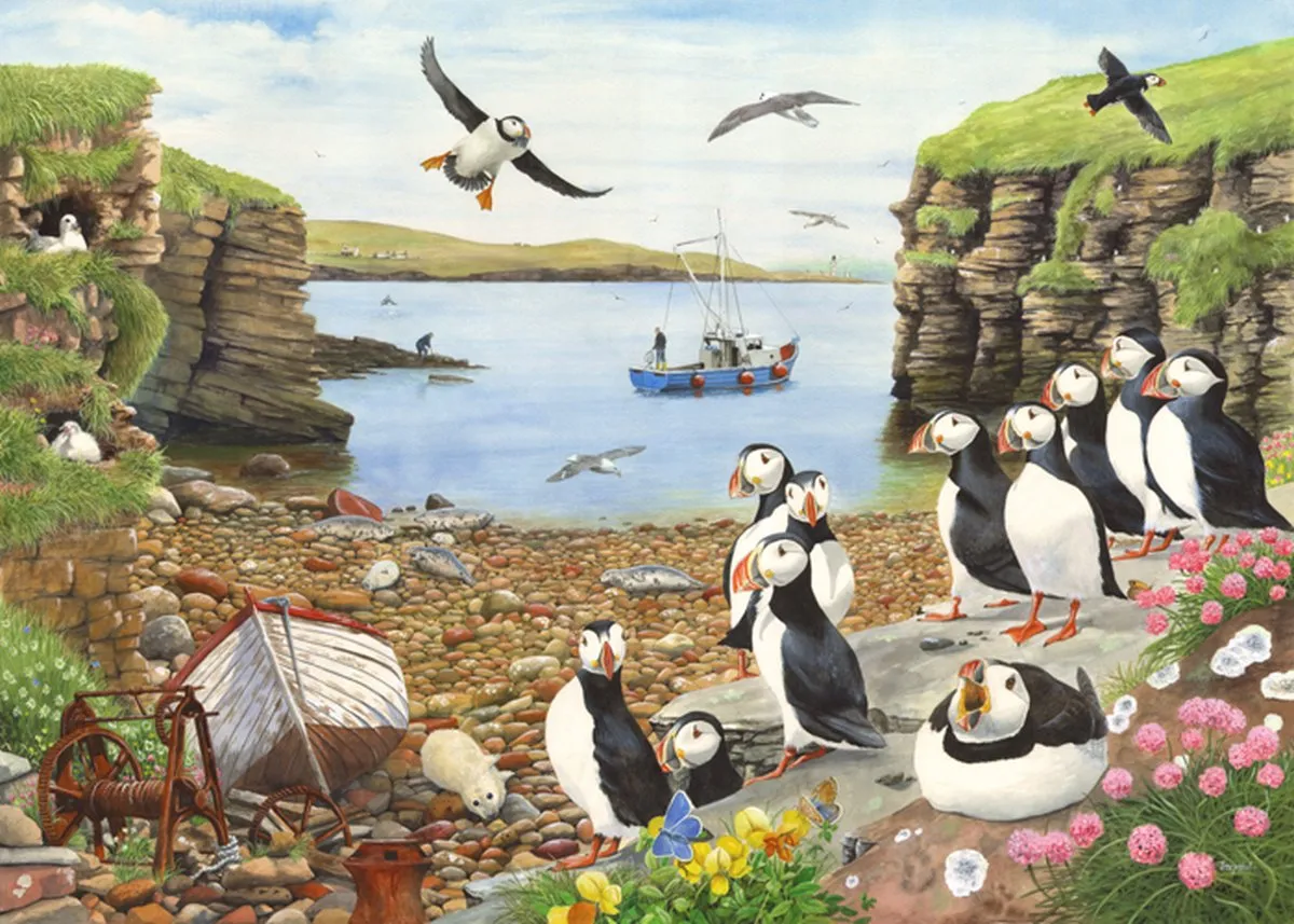 House Of Puzzles Puffin Parade Puzzel 500 Stuks - HP0286 Multicolor