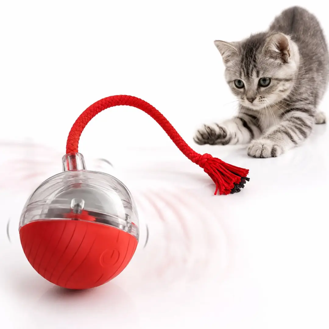 Automatische Bal voor de Kat- Poes