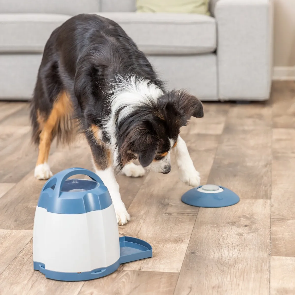 Trixie Dog Activity Memory Trainer - Blauw/Wit