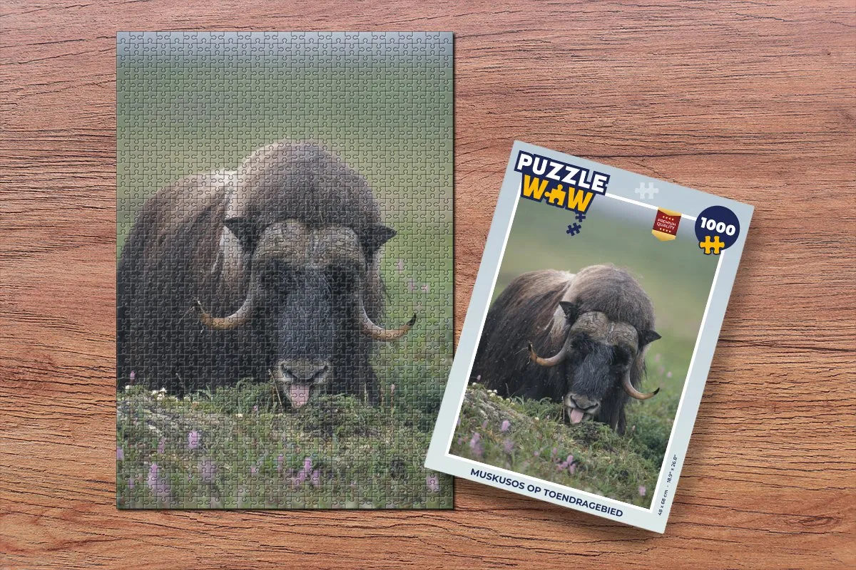 PuzzleWow Legpuzzel Muskusos op Toendragebied 1000 Stuks