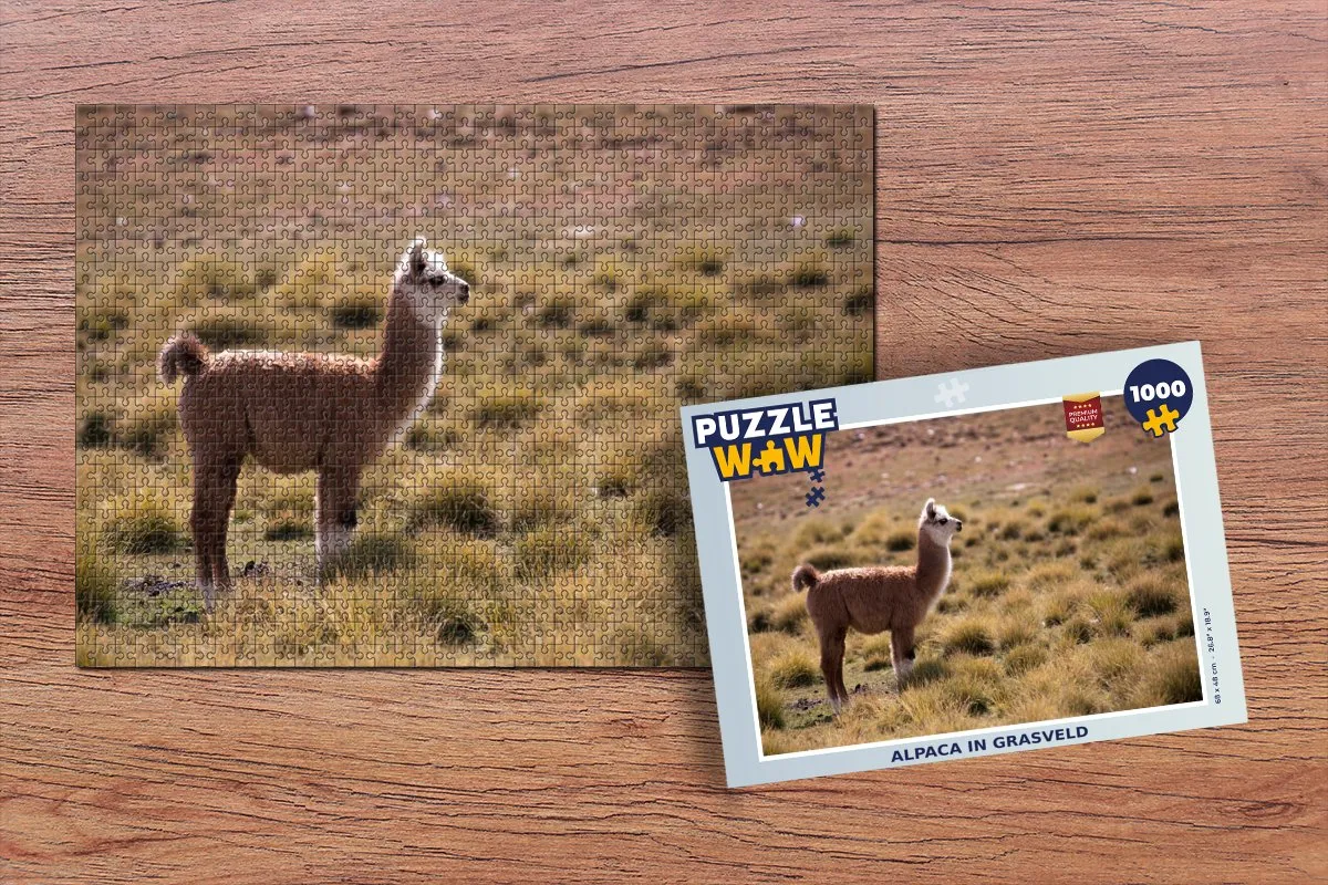 PuzzleWow Alpaca Legpuzzel 1000 Stuks - Multicolor