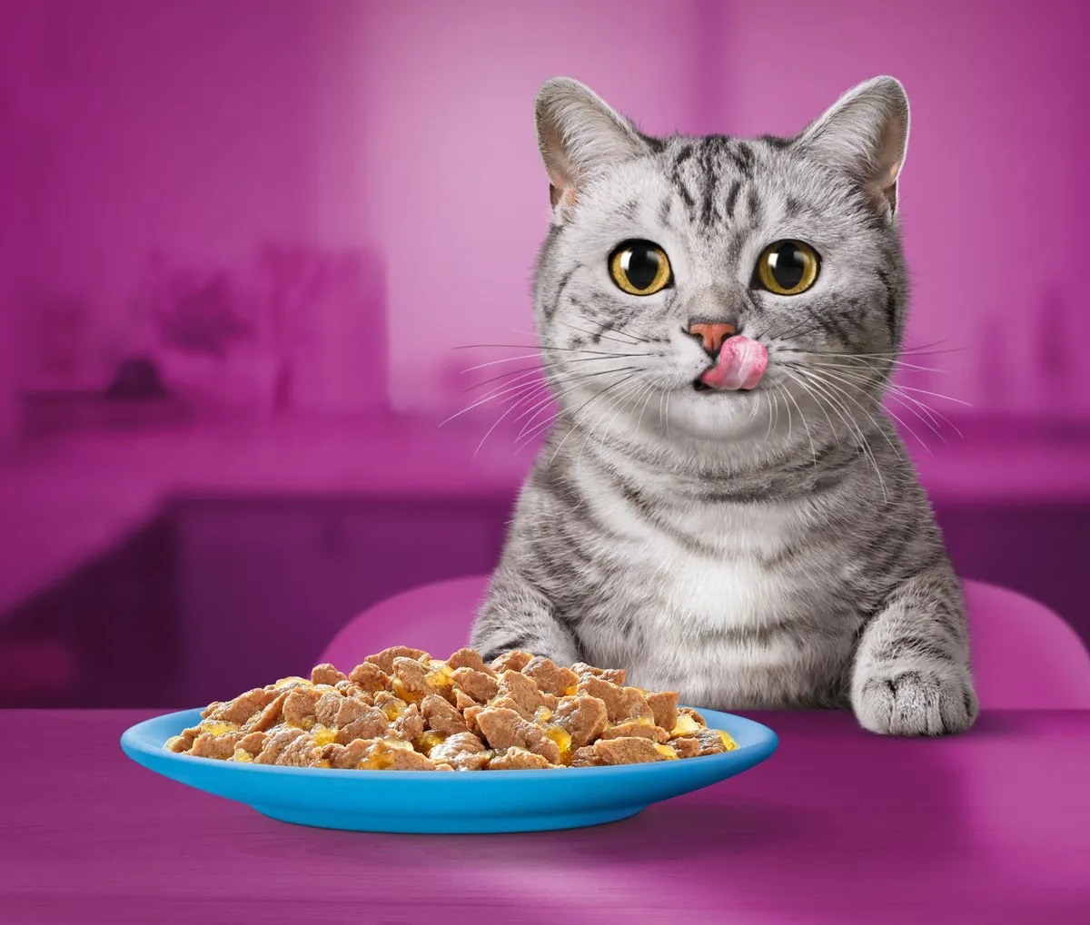Whiskas Adult 1+ Vis in Gelei Kattenvoer - 80x85g
