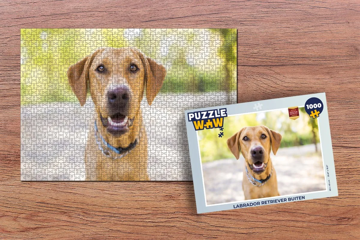 PuzzleWow Labrador Retriever Legpuzzel 1000 Stuks - Multicolor