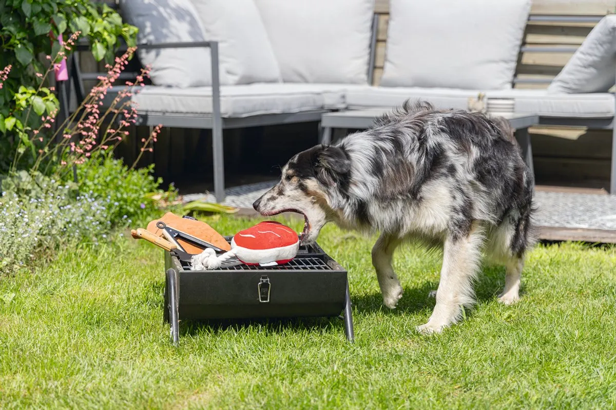 Beeztees BBQ Steak Pluche Hondenspeelgoed - Rood