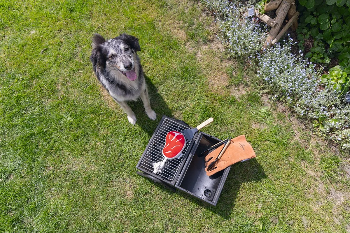 Beeztees BBQ Steak Pluche Hondenspeelgoed - Rood