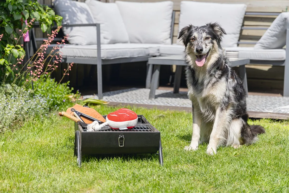 Beeztees BBQ Steak Pluche Hondenspeelgoed - Rood