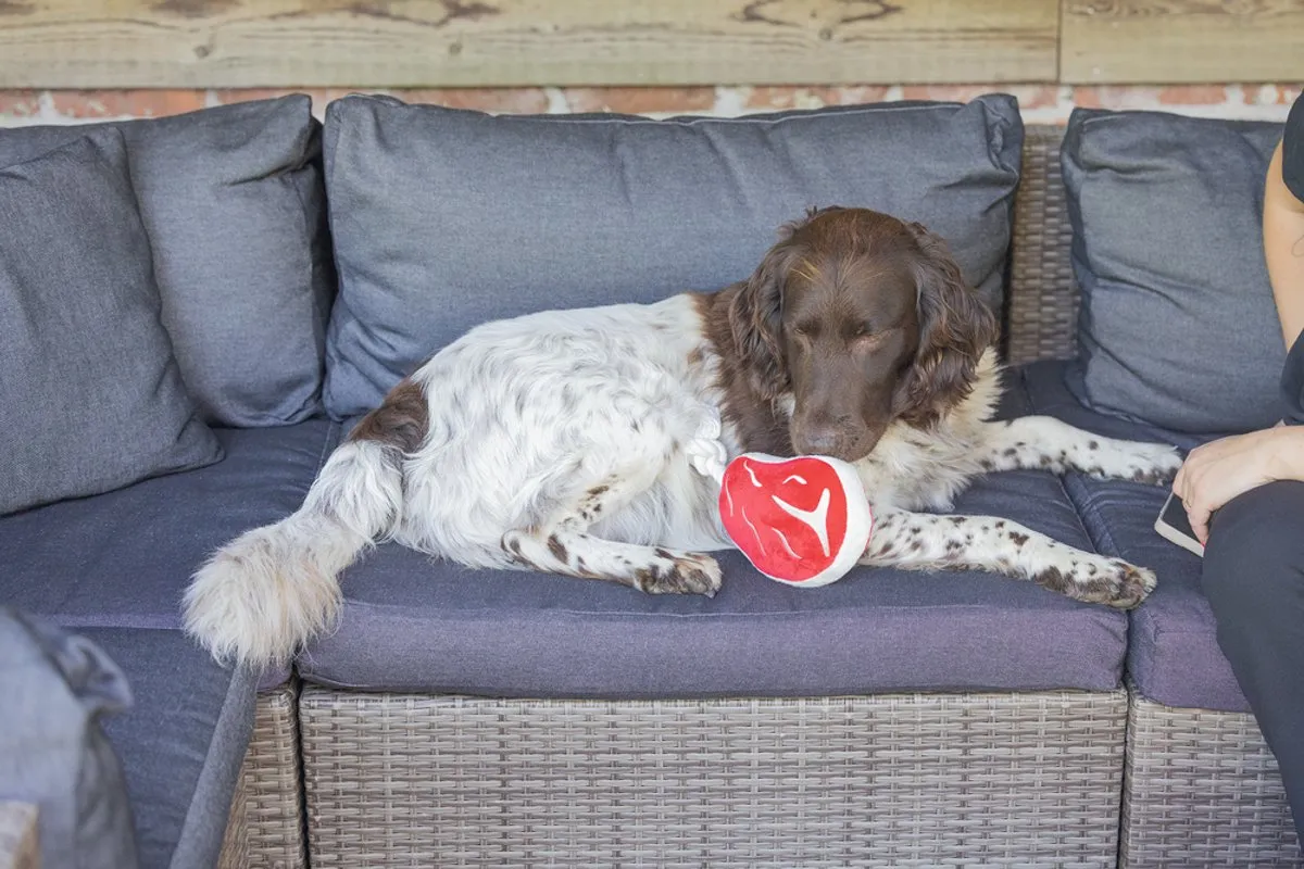 Beeztees BBQ Steak Pluche Hondenspeelgoed - Rood - afbeelding 6 van 6