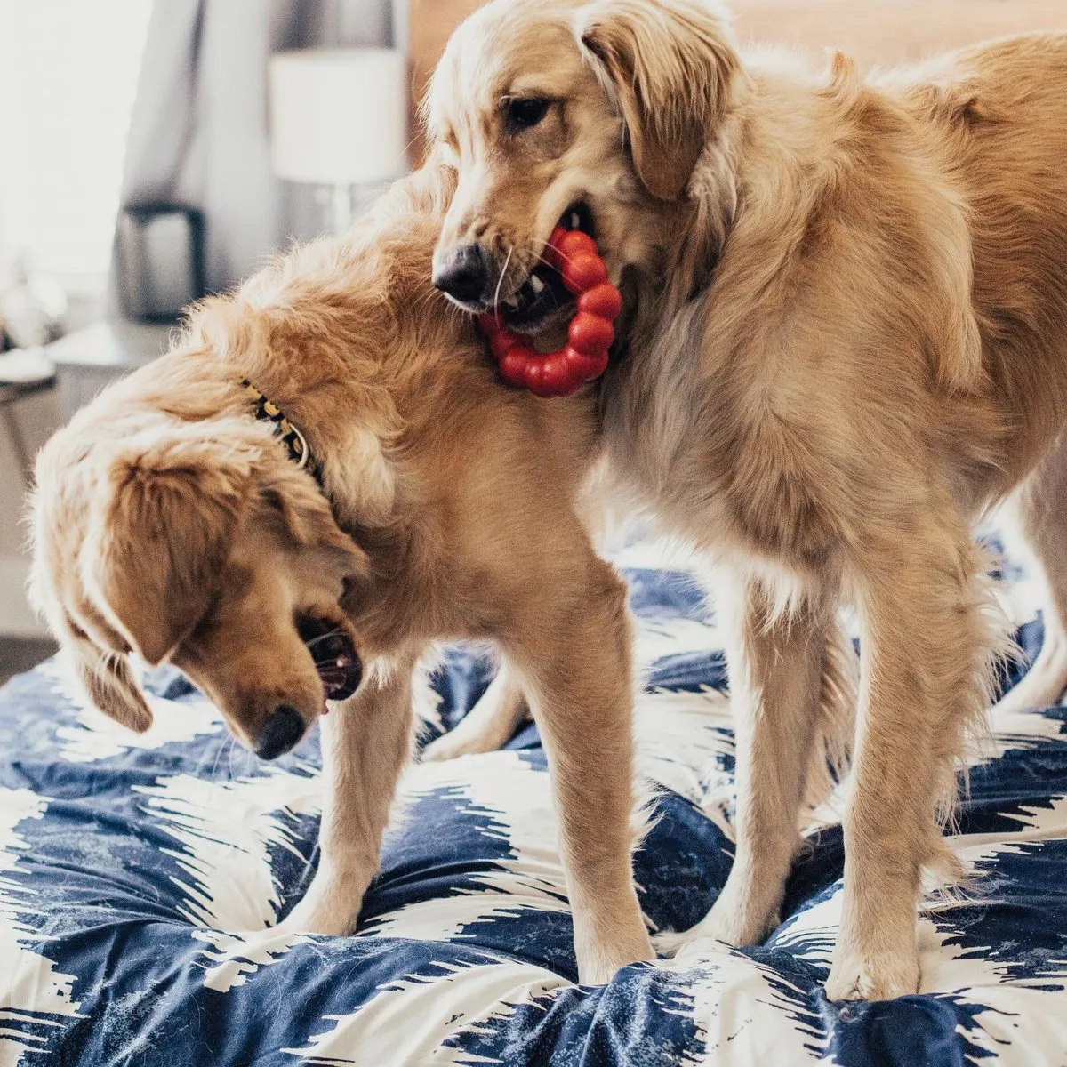 KONG Ring Honden Speelgoed - Rood - M