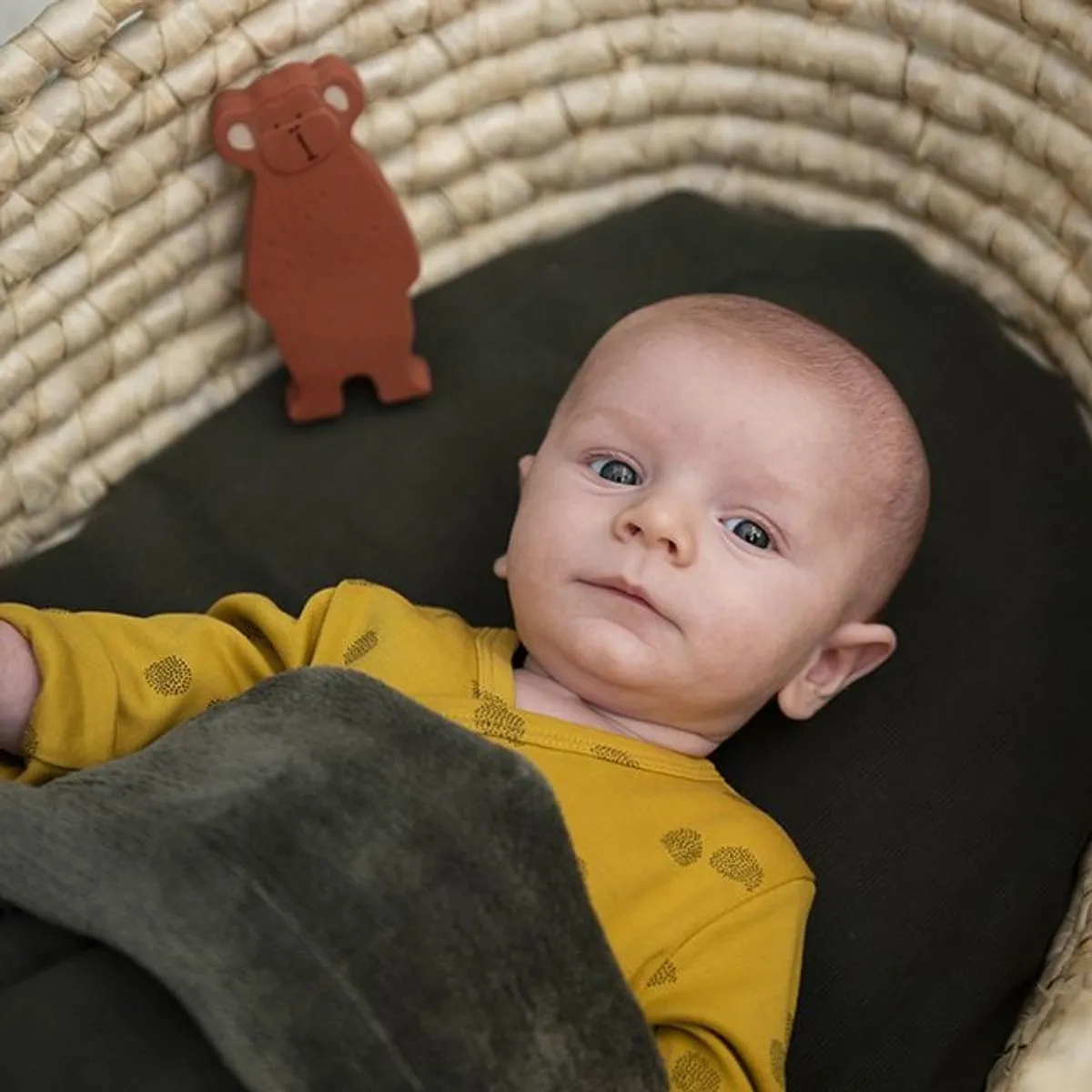 Trixie Baby Rubber Speeltje Mr. Monkey - Bruin