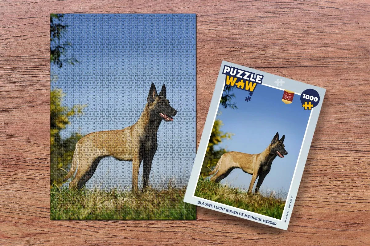 PuzzleWow Legpuzzel Blauwe lucht boven de Mechelse herder 1000 Stuks - Multicolor