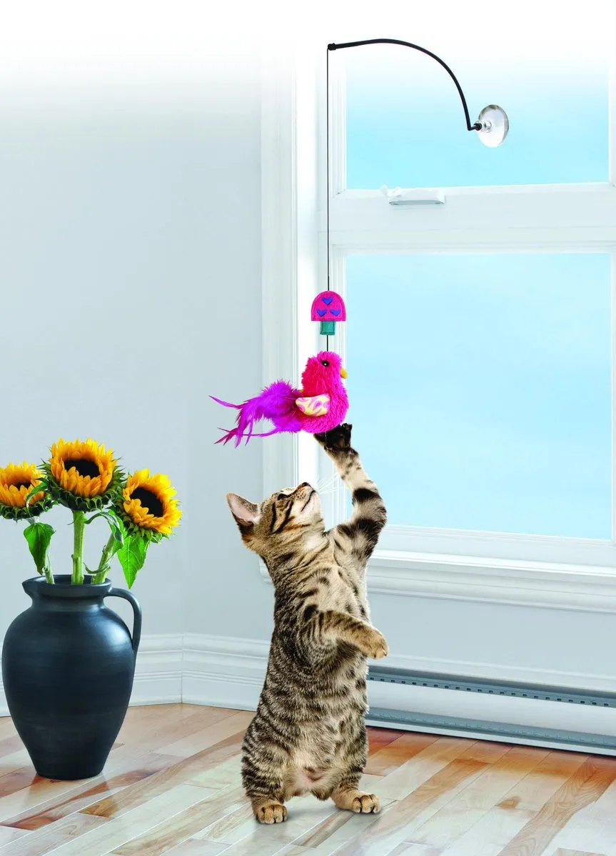 KONG Kat Window Teaser - 33x8x4cm - Assorti - afbeelding 4 van 6
