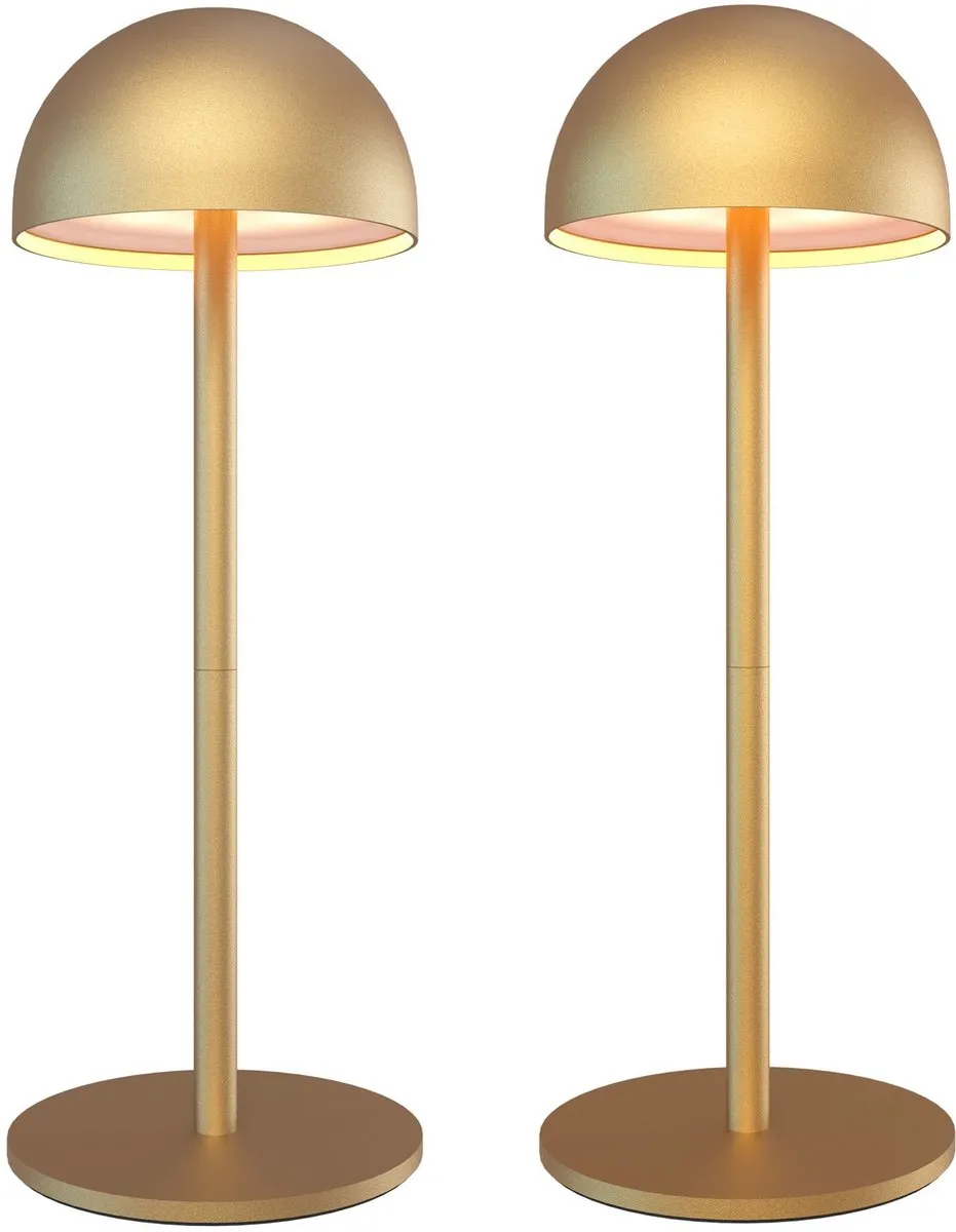 LEDVION Vita Oplaadbare Tafellamp - 2x Goud - 2.5W - IP54