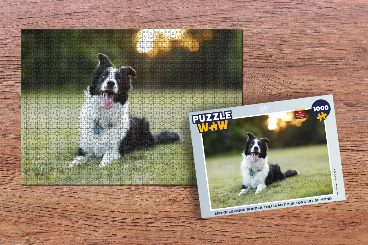 PuzzleWow Legpuzzel Een Gelukkige Border Collie 1000 Stuks