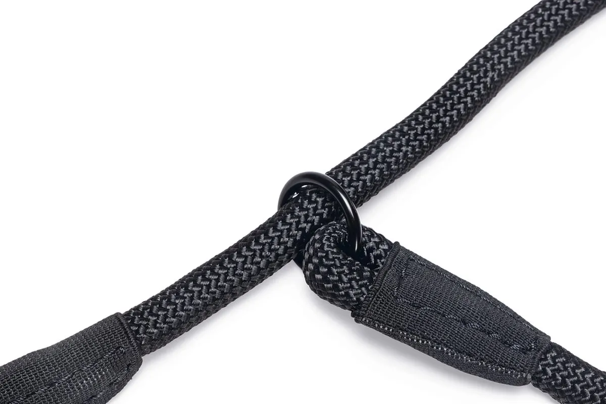 Beeztees Premium Parinca Hondenhalsband - Zwart - afbeelding 4 van 5